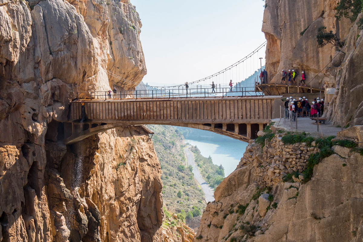 Purchase and Sale 13 Image Item