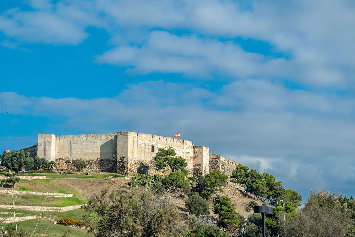 Purchase and Sale 12 Image Item