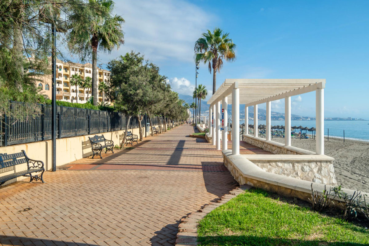 Purchase and Sale 11 Image Item