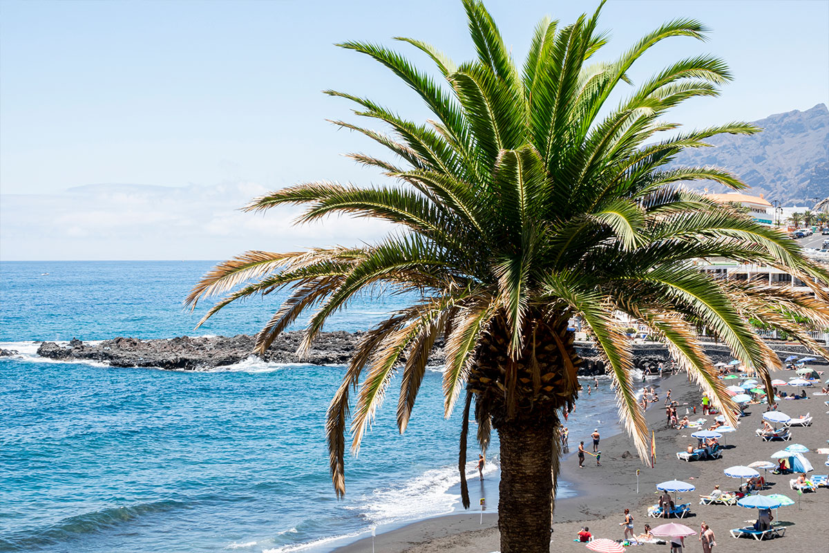 Purchase and Sale 10 Image Item