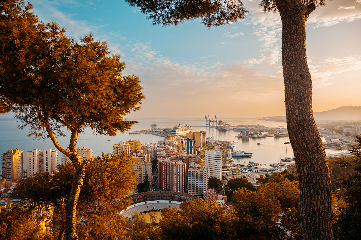 Purchase and Sale 6 Image Item