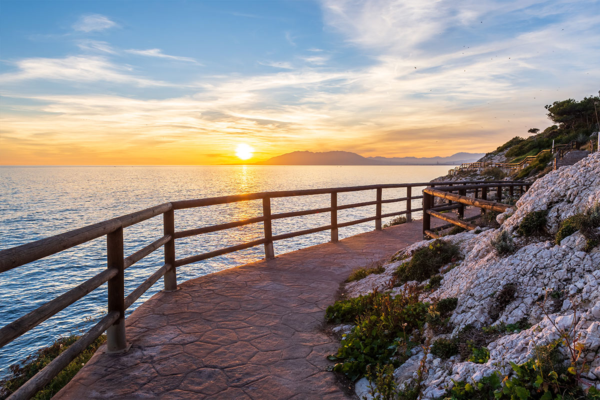 Purchase and Sale 4 Image Item