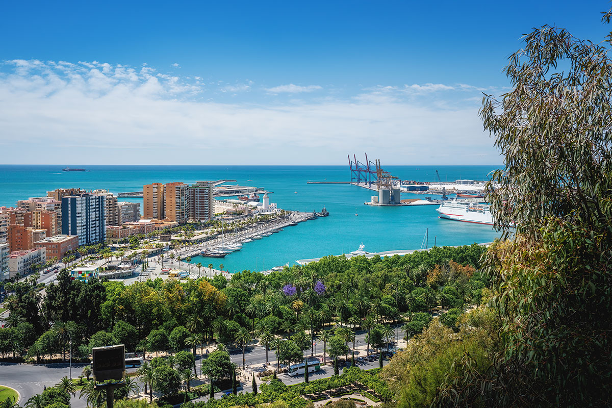 Purchase and Sale 3 Image Item